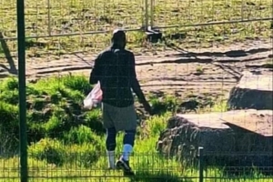 还不归队!意媒:卢卡库在安特卫普训练,预计归期不会早于下周中