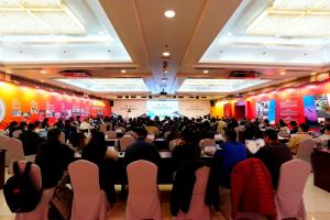 2026中英职业足球青训交流会在北京举行，聚焦足球青训体系建设